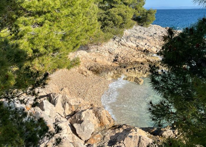 WhatsApp Image 2021-05-29 at 19.16.04